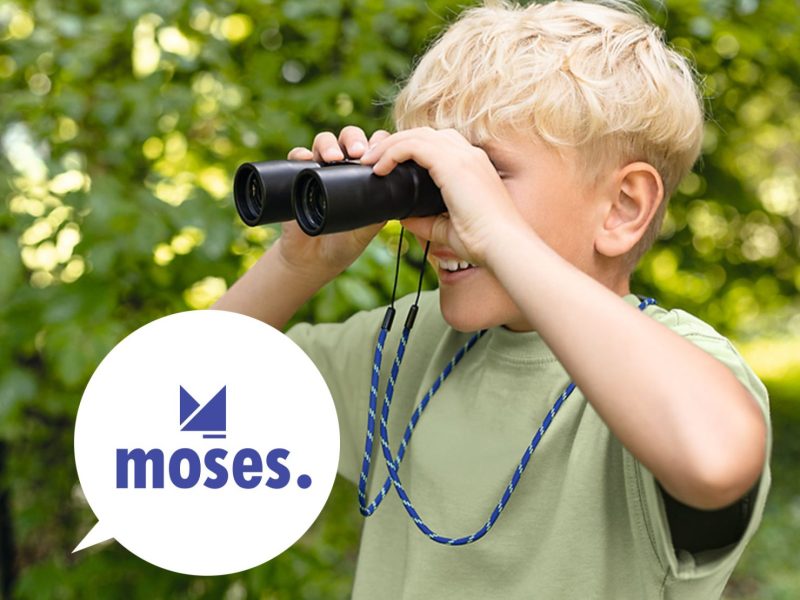 giochidaesterno_Moses_1